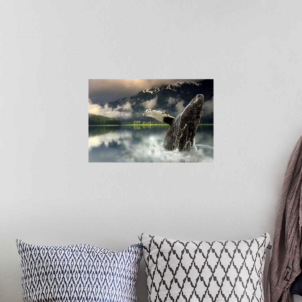 A bohemian room featuring Horizontal, large photograph of a humpback whale jumping out of the water in Southeast Alaska, lo...