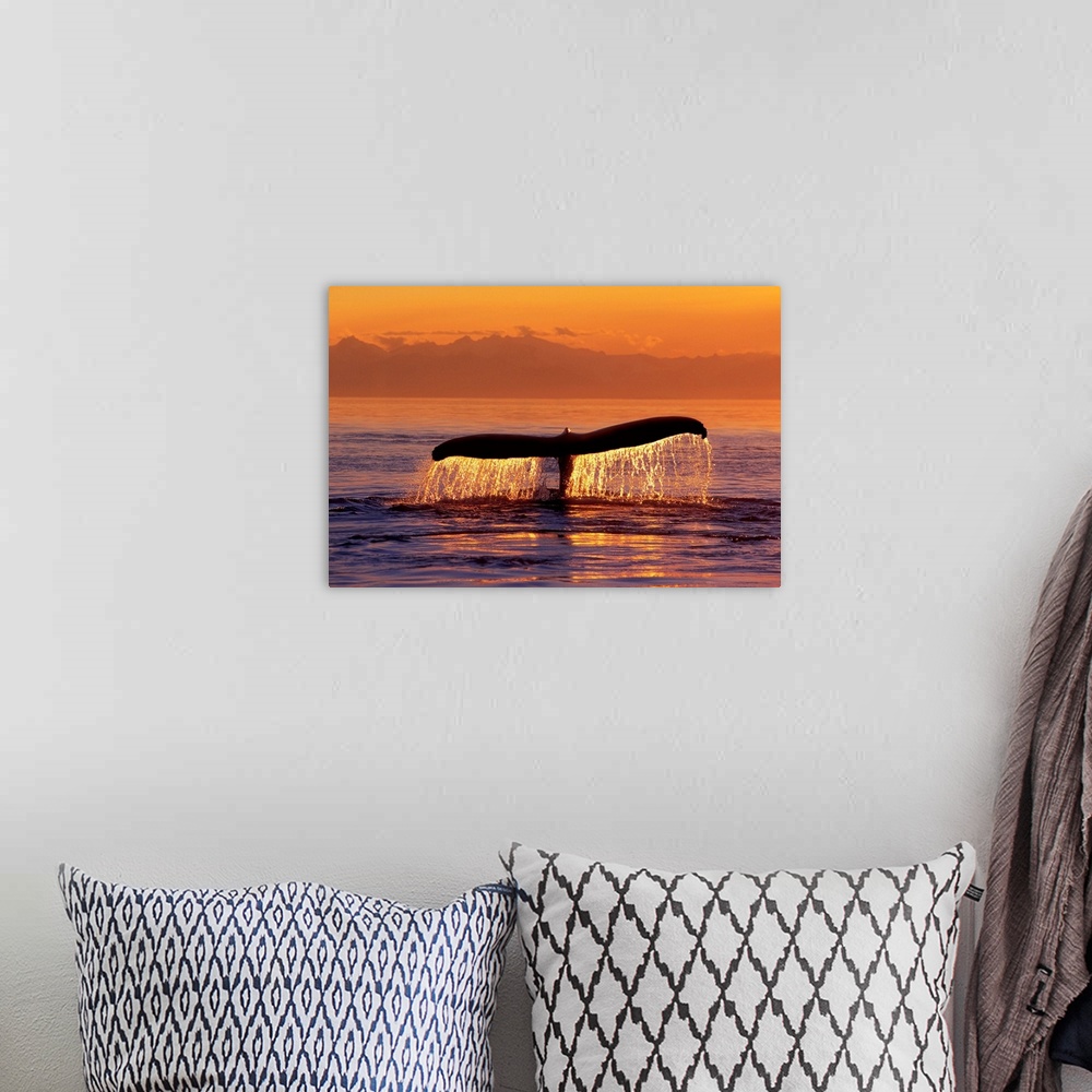 A bohemian room featuring The flipper of a diving whale protruding from the sea as the sun reflects off the water.