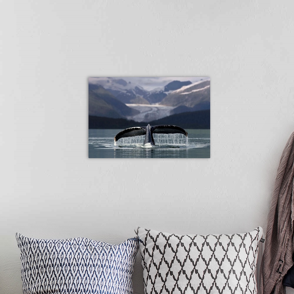 A bohemian room featuring Composite Humpback Whale Shows Fluke With Herbert Glacier And Eagle Beach State Recreation Area I...