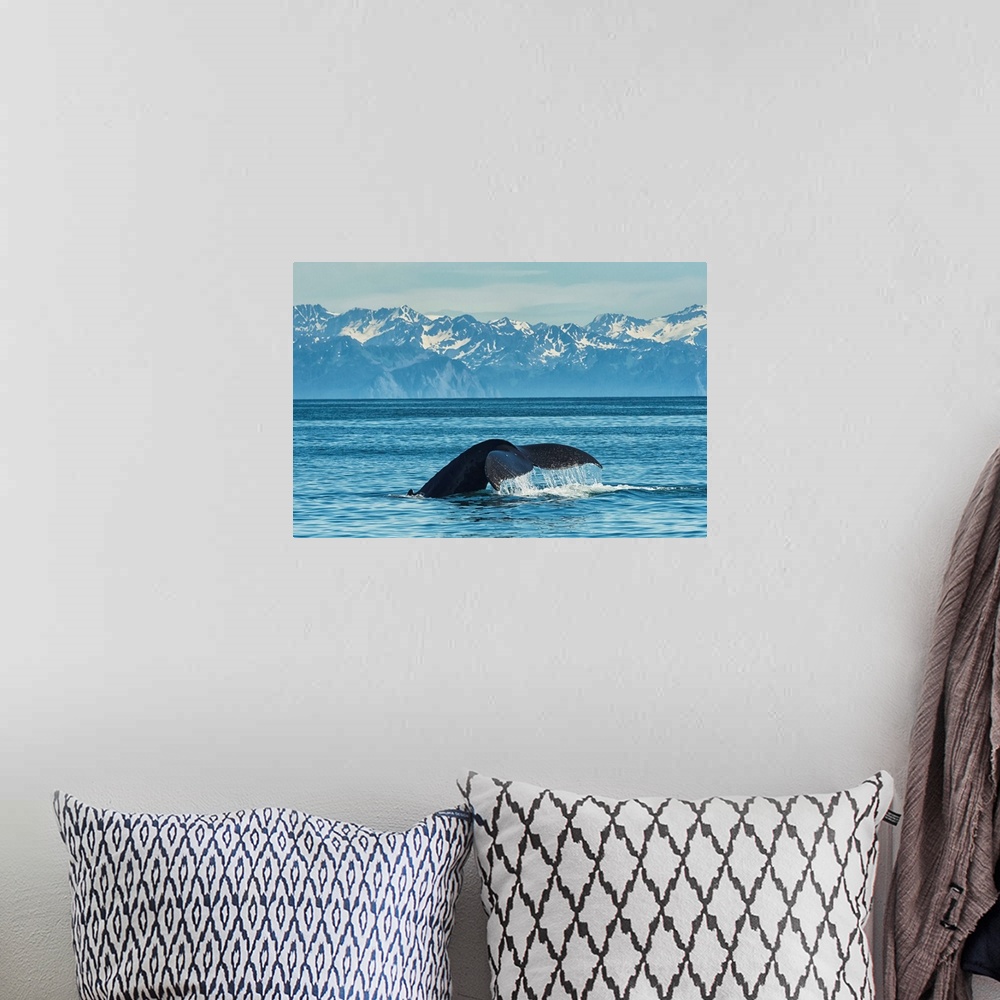 A bohemian room featuring Humpback whale (Megaptera novaeangliae) in Seward harbor, Seward, Alaska, United States of America.