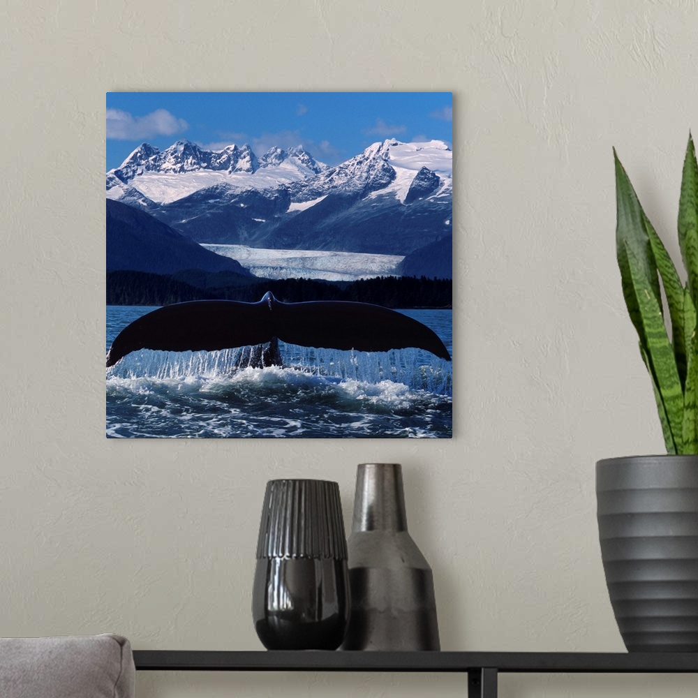A modern room featuring Humpback Whale Tail In Front Of Glacier Composite