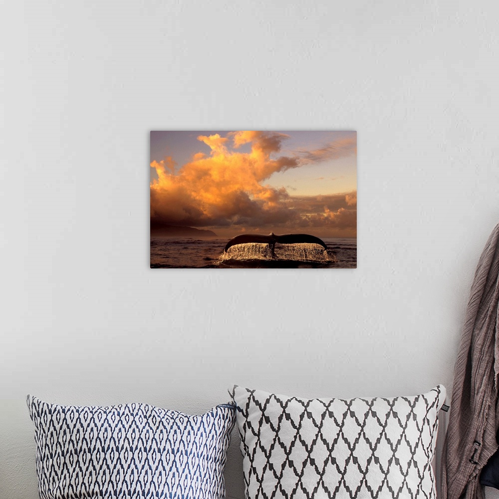 A bohemian room featuring Landscape photograph on a big canvas of a humpback whale tail, dripping after breaking the surfac...
