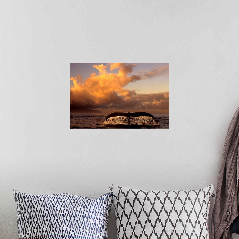 A bohemian room featuring Landscape photograph on a big canvas of a humpback whale tail, dripping after breaking the surfac...