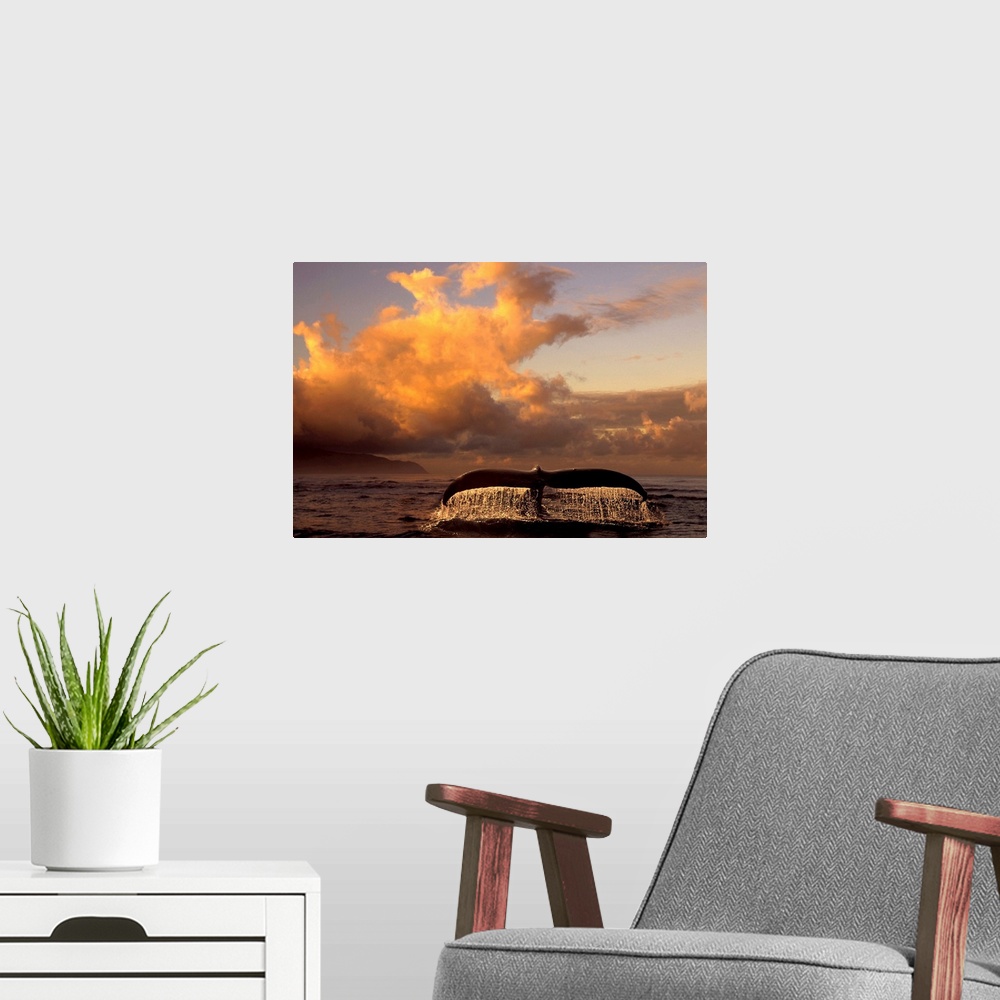 A modern room featuring Landscape photograph on a big canvas of a humpback whale tail, dripping after breaking the surfac...