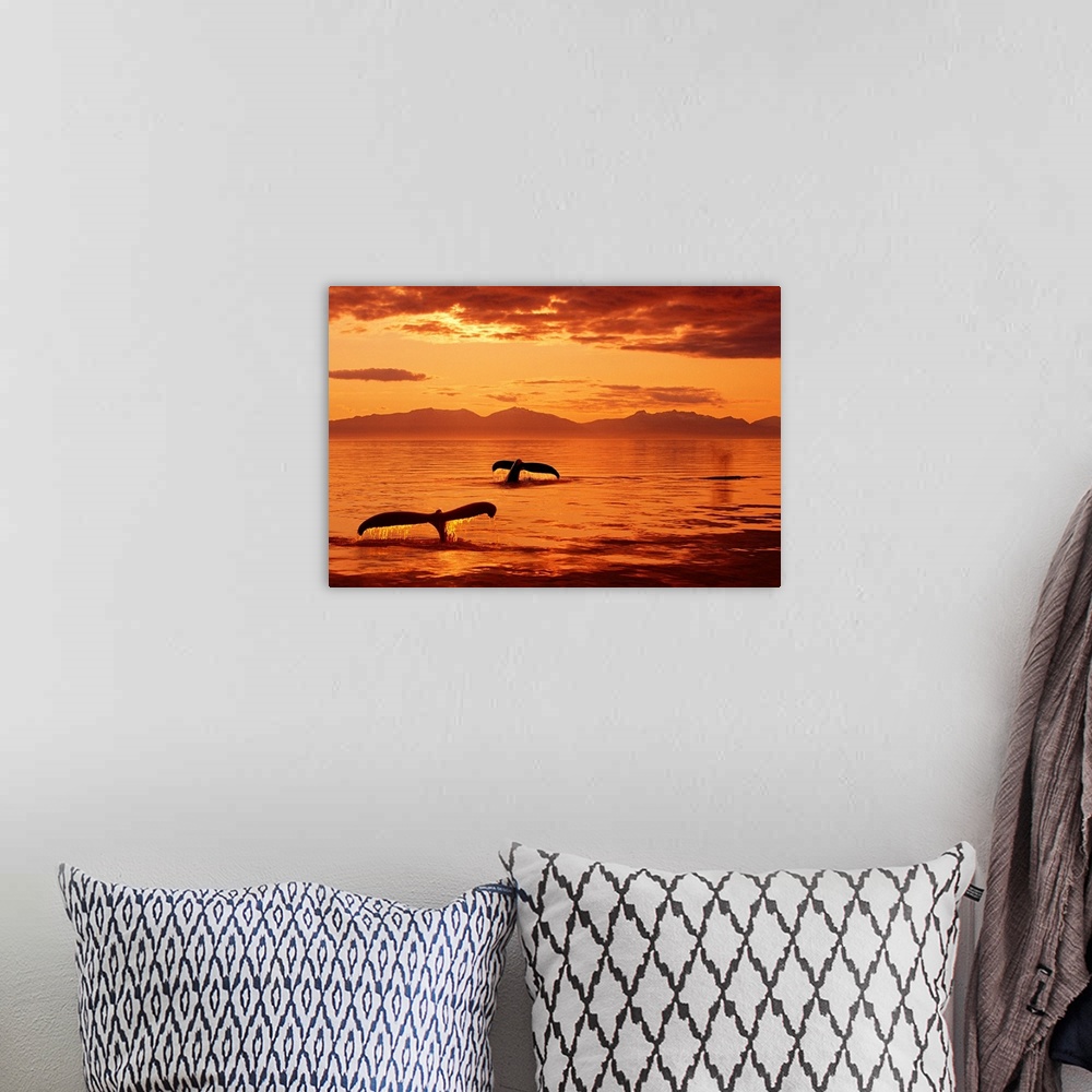A bohemian room featuring Humpback Whale Tails at Sunset SE Digital Composite