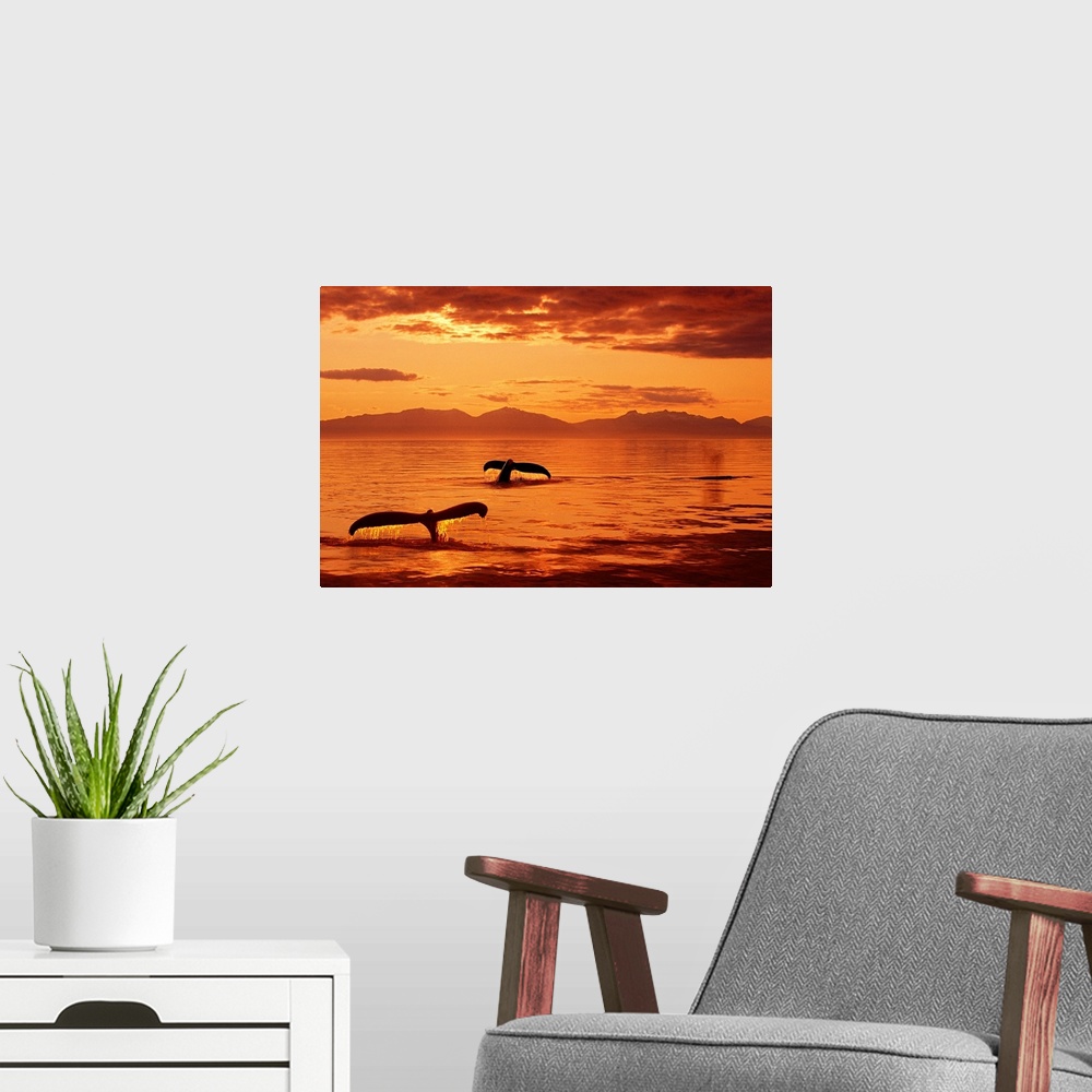 A modern room featuring Humpback Whale Tails at Sunset SE Digital Composite