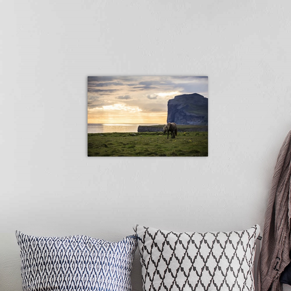 A bohemian room featuring Icelandic horse walking along the ocean at sunset; Hofsos, Iceland