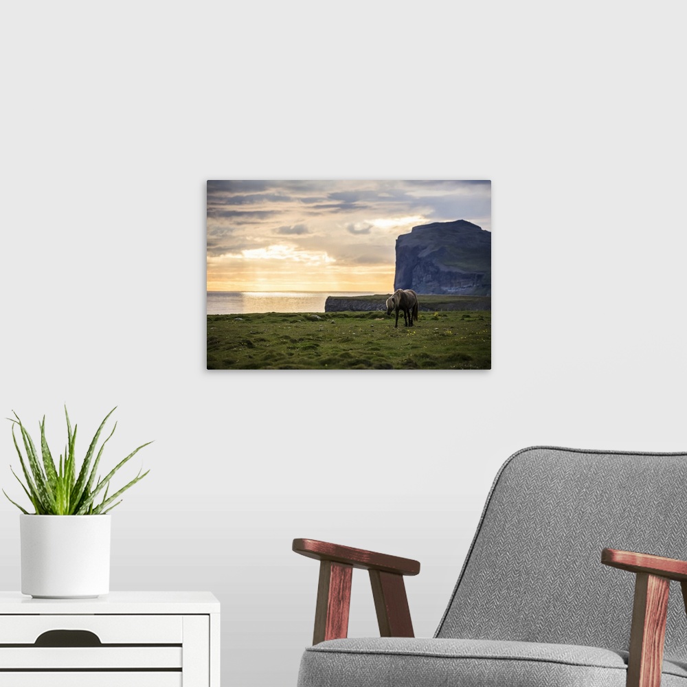 A modern room featuring Icelandic horse walking along the ocean at sunset; Hofsos, Iceland