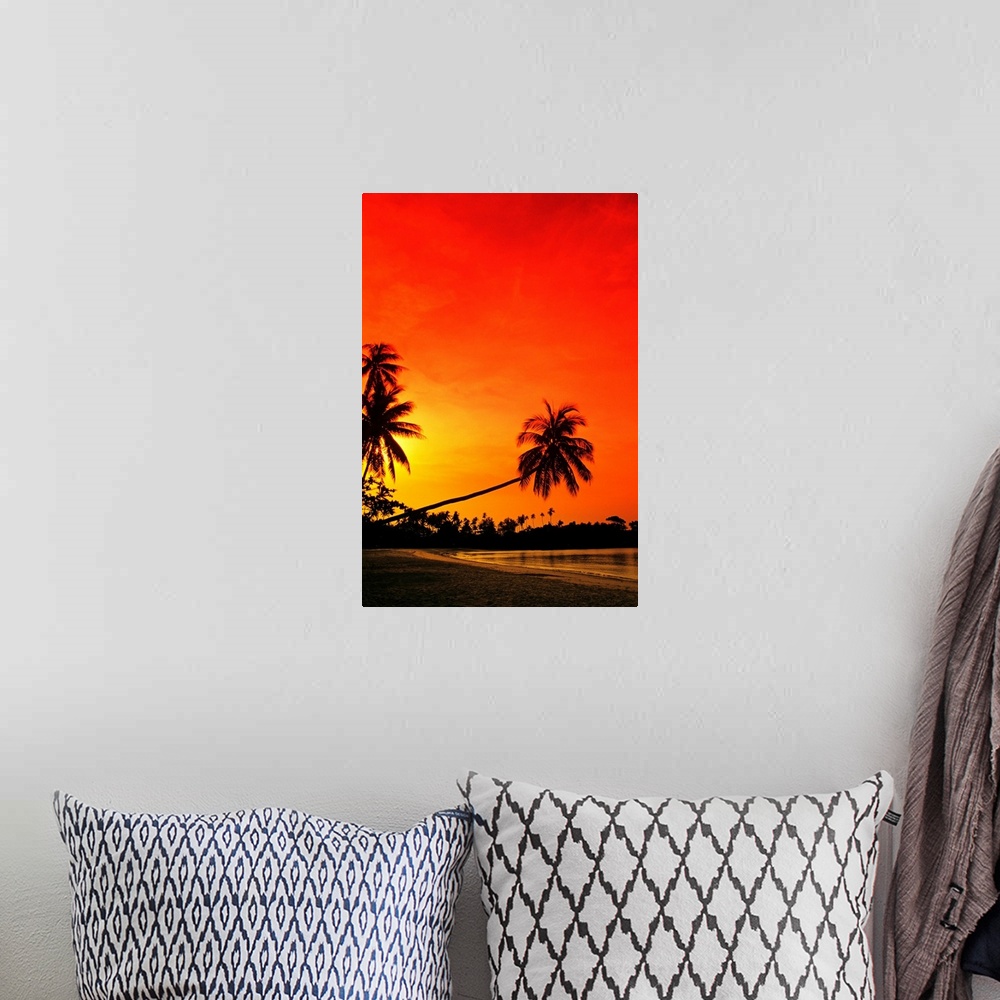 A bohemian room featuring Photograph taken of a long palm tree that stretches out over the beach to the edge of the ocean. ...