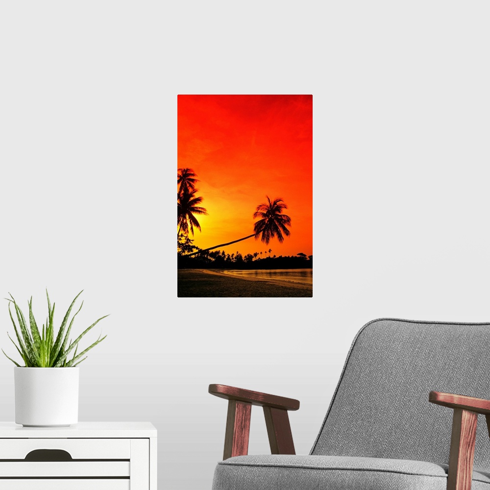 A modern room featuring Photograph taken of a long palm tree that stretches out over the beach to the edge of the ocean. ...