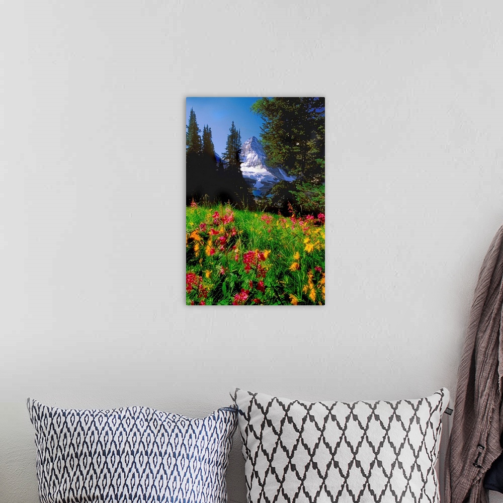 A bohemian room featuring Jerry Kobalenko; Mt.Assiniboine Landscape With Alpine Wildflowers, Canada