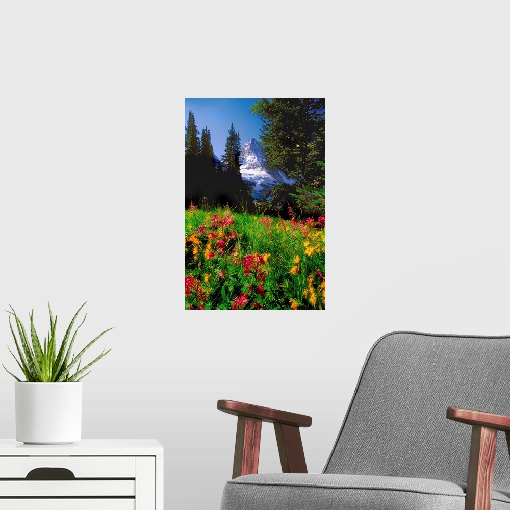 A modern room featuring Jerry Kobalenko; Mt.Assiniboine Landscape With Alpine Wildflowers, Canada