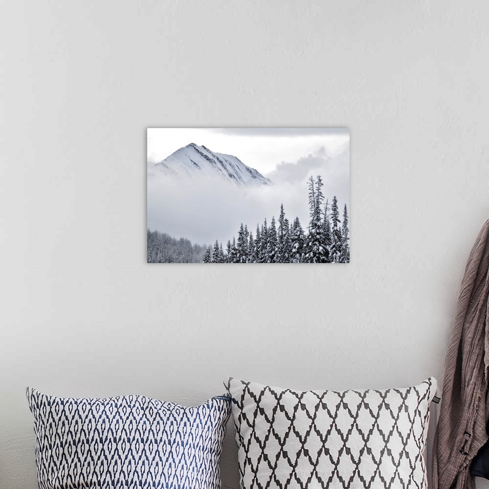 A bohemian room featuring Kananaskis Country In Winter, Peter Lougheed Provincial Park, Alberta, Canada