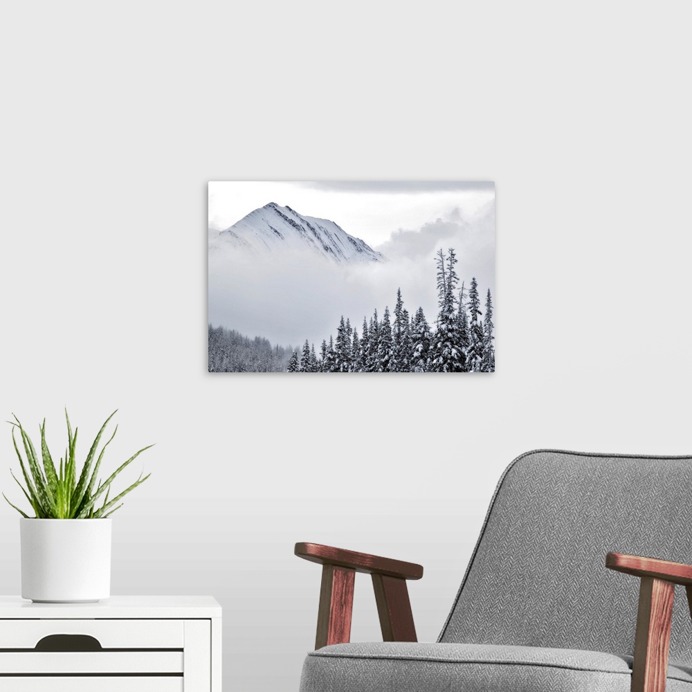 A modern room featuring Kananaskis Country In Winter, Peter Lougheed Provincial Park, Alberta, Canada
