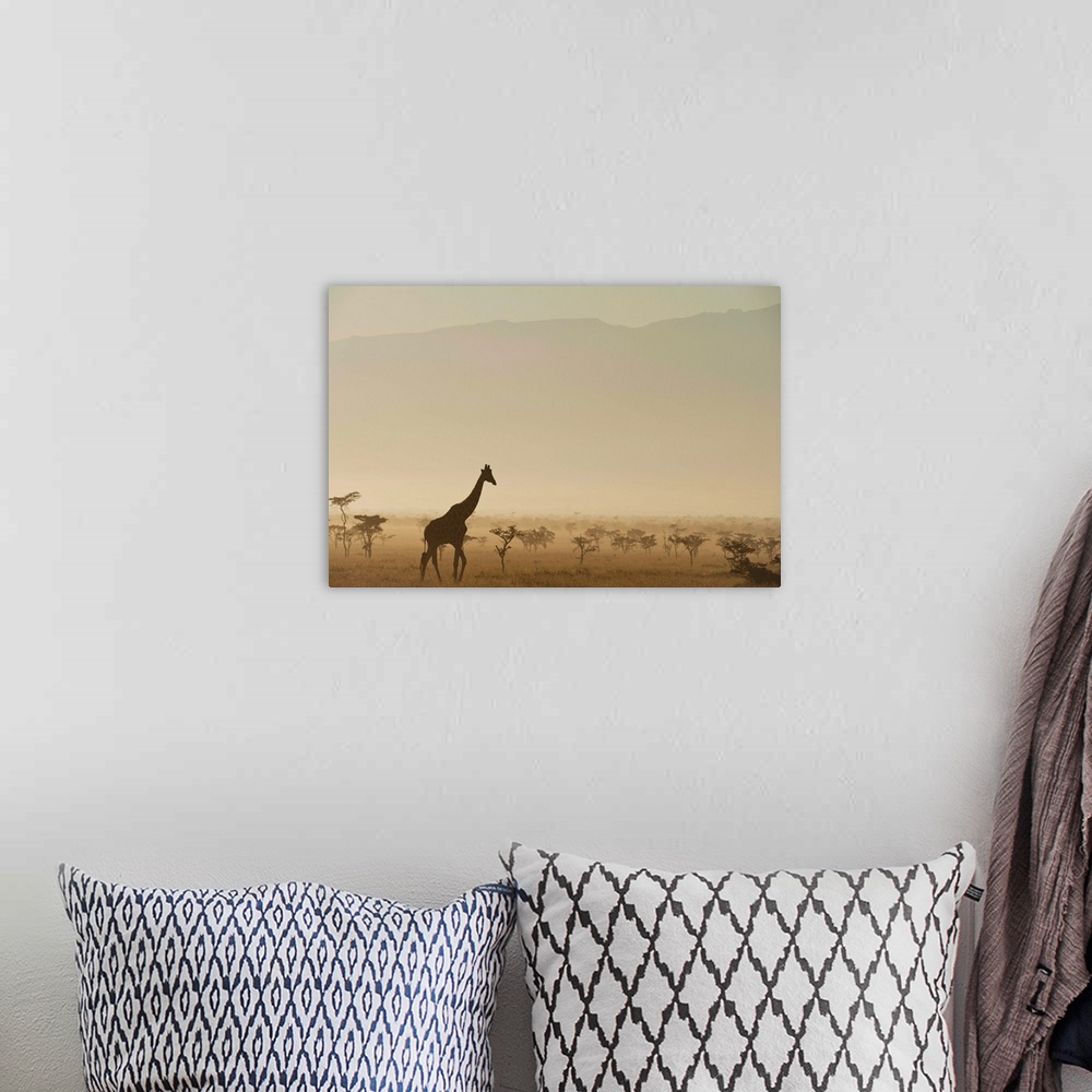 A bohemian room featuring Kenya, Giraffe at dawn in front of Mt Kenya in Ol Pejeta Conservancy, Laikipia County