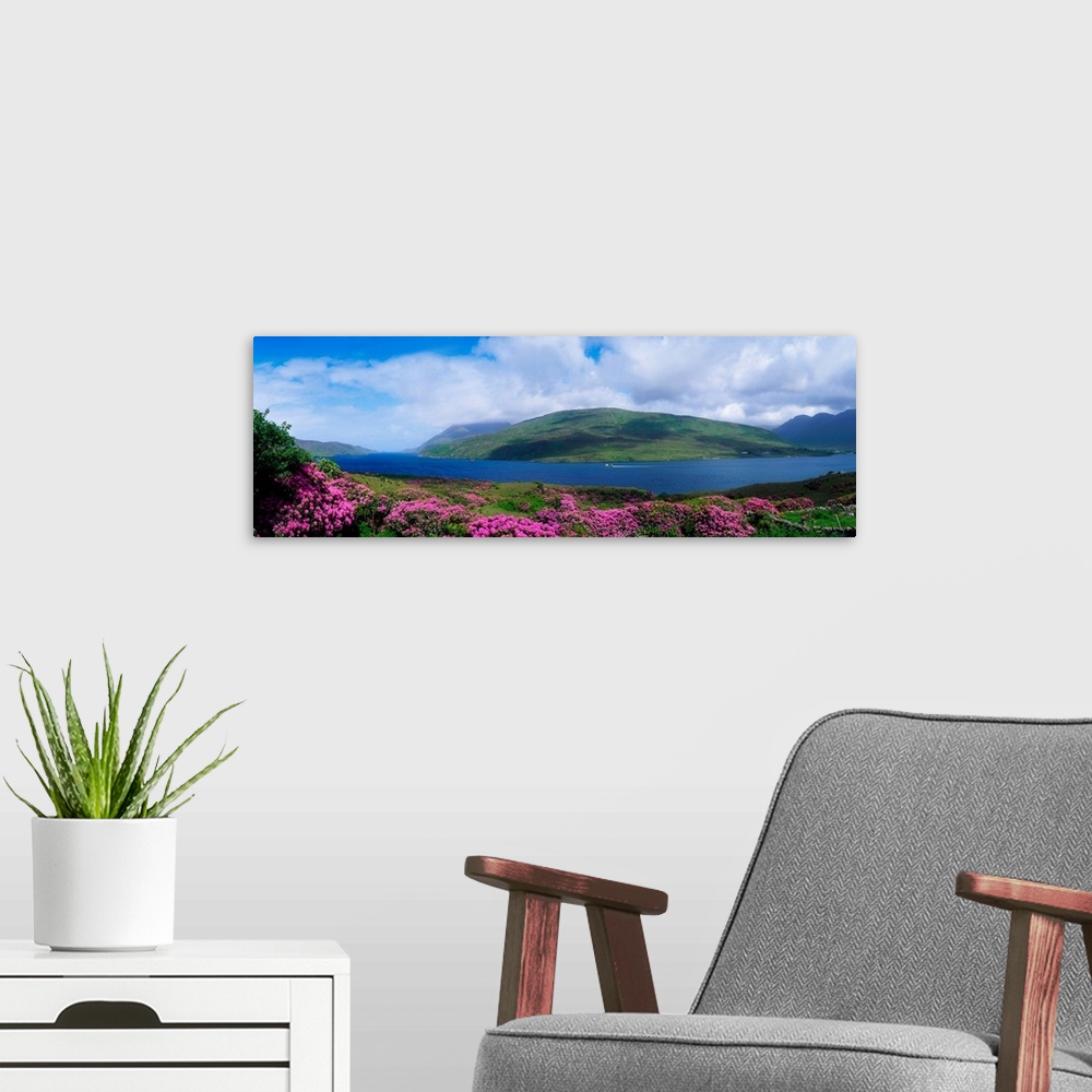 A modern room featuring Killary Harbour With Wildflowers, County Galway, Ireland