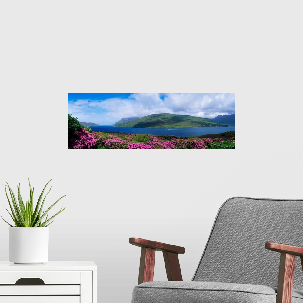 A modern room featuring Killary Harbour With Wildflowers, County Galway, Ireland