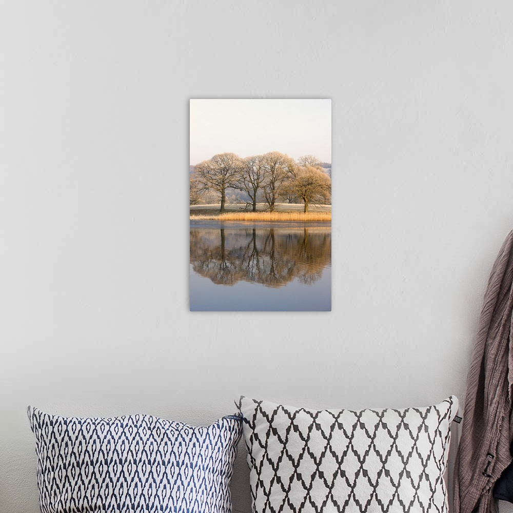 A bohemian room featuring Lake Scenic With Autumn Trees Reflected In Water, Cumbria, England