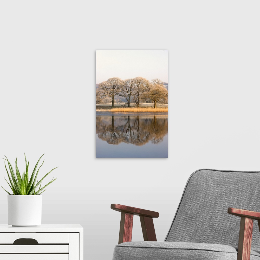 A modern room featuring Lake Scenic With Autumn Trees Reflected In Water, Cumbria, England