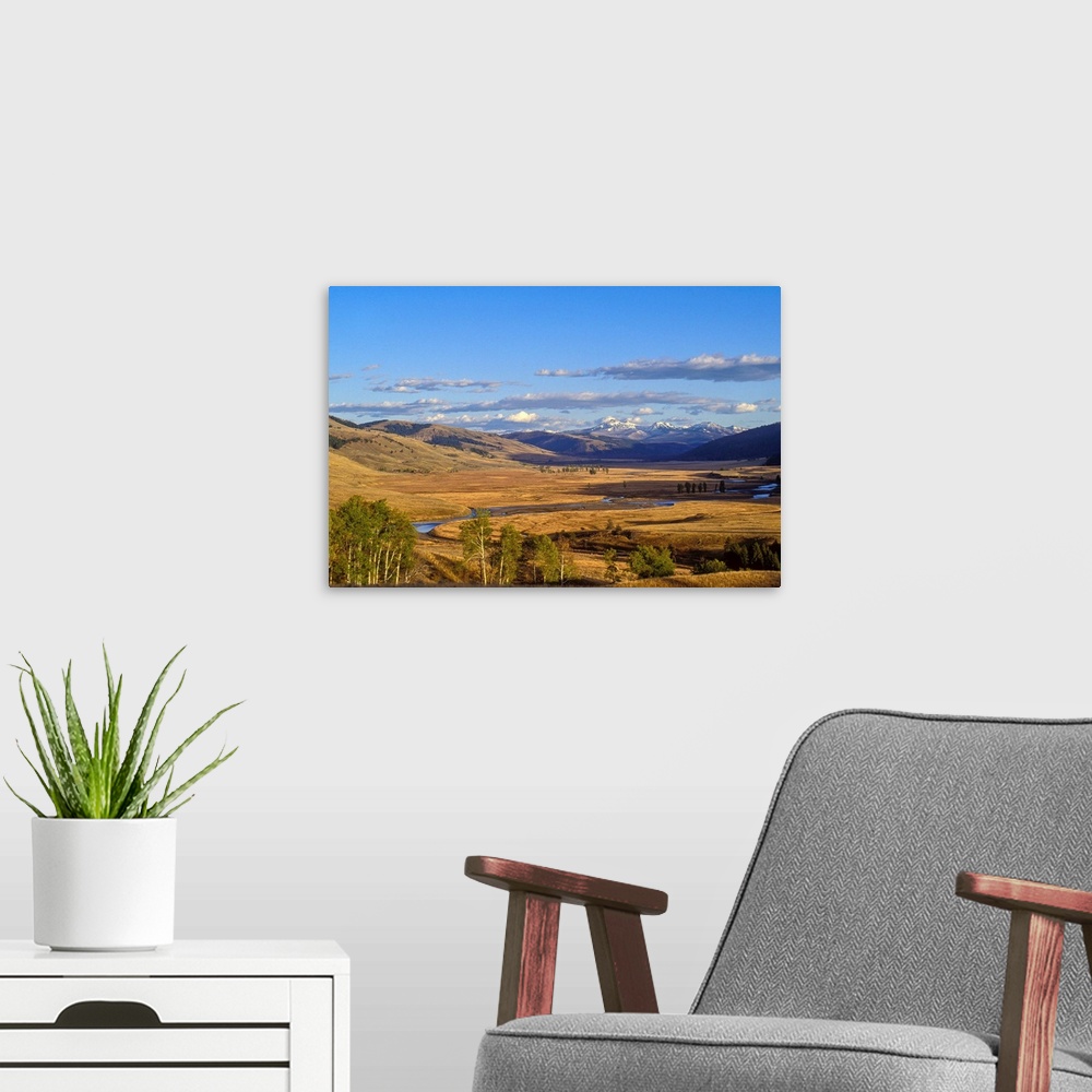 A modern room featuring Lamar Valley on a summer evening in Yellowstone National Park, Wyoming, United States of America....