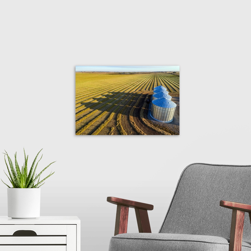 A modern room featuring Aerial view of four large metal grain bins and canola harvest lines at sunset with long shadows; ...