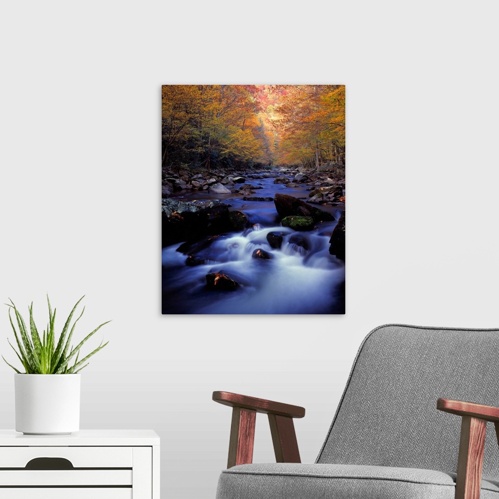 A modern room featuring Little River Cascades And Autumn Colors, Great Smoky Mountains N