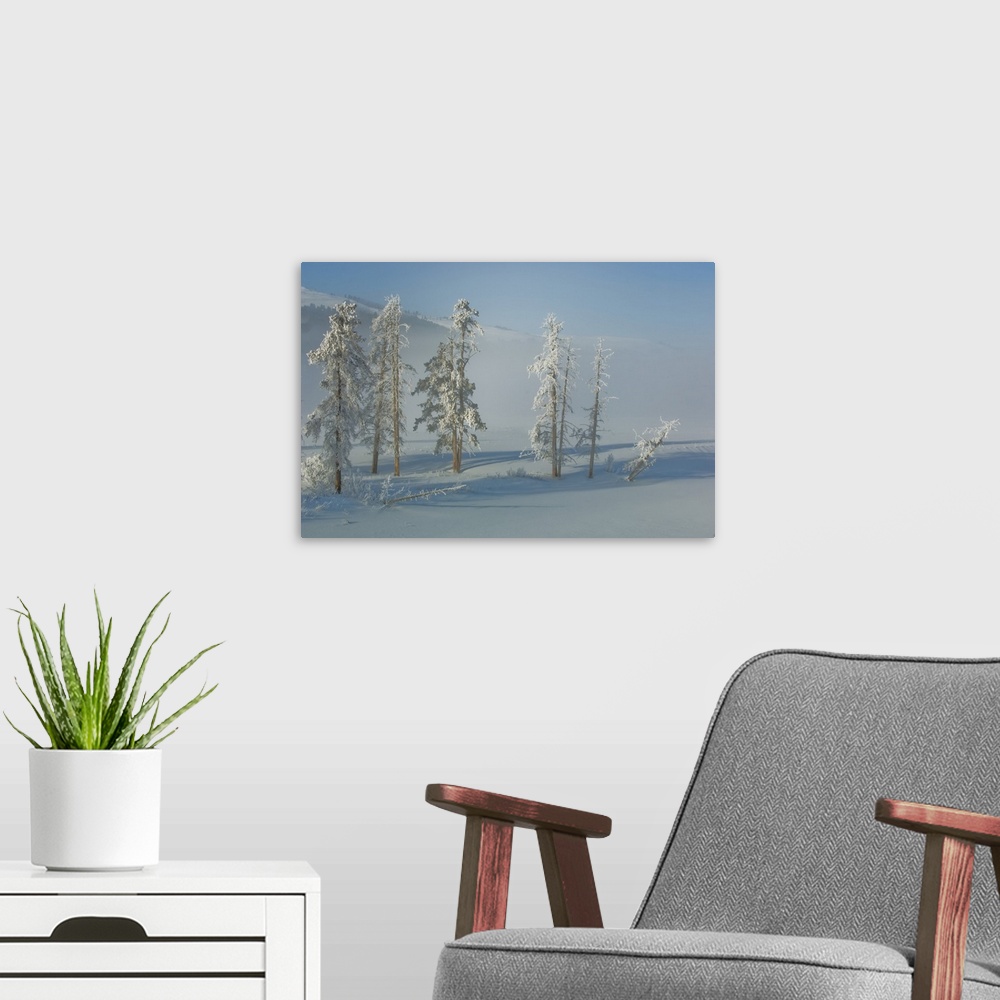 A modern room featuring Lodgepole pines and snow in the mist.