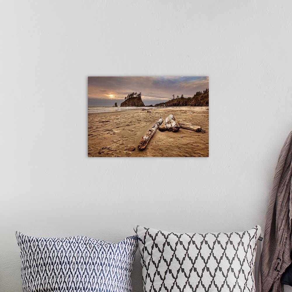 A bohemian room featuring Logs lying on a sandy beach at sunset.