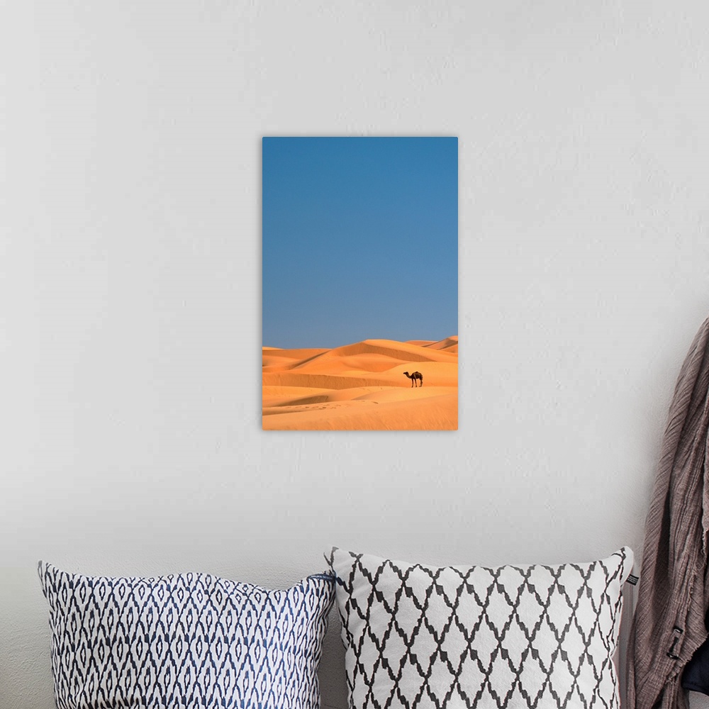 A bohemian room featuring Lone Camel In the Sahara; Merzouga, Morocco