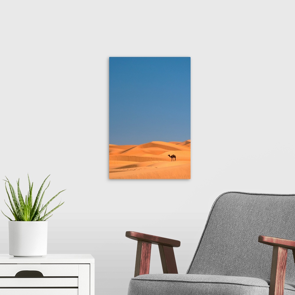 A modern room featuring Lone Camel In the Sahara; Merzouga, Morocco