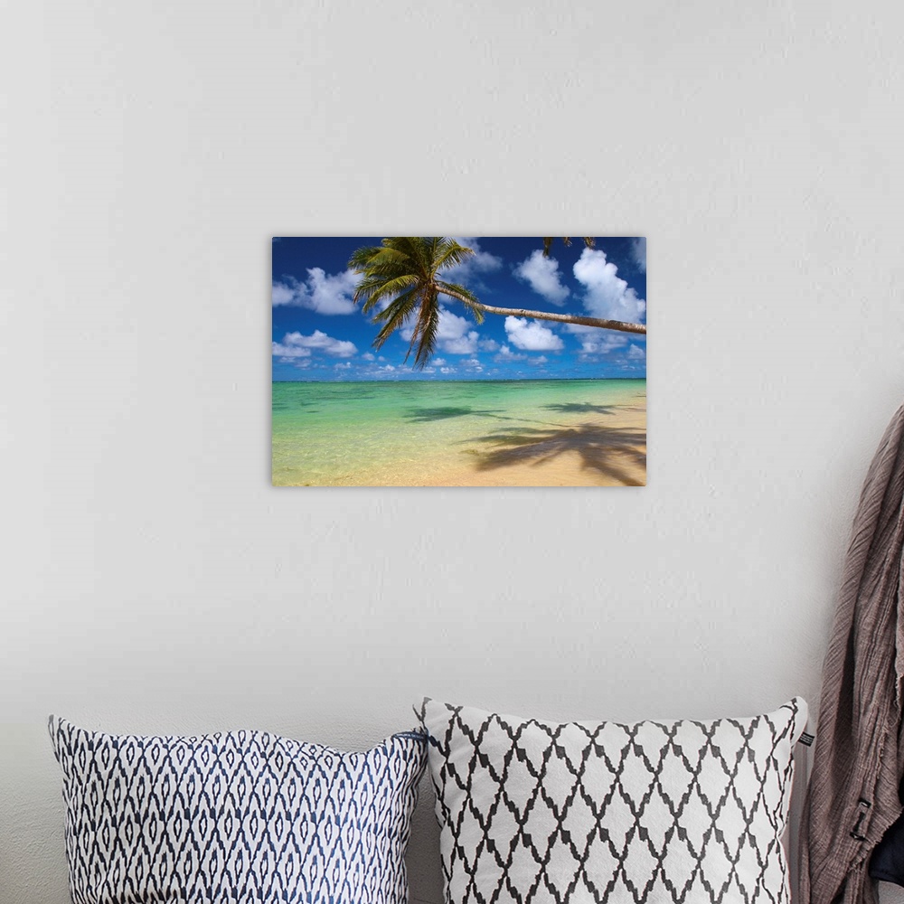 A bohemian room featuring Lone Palm Tree Leaning Over Beach With Shadow