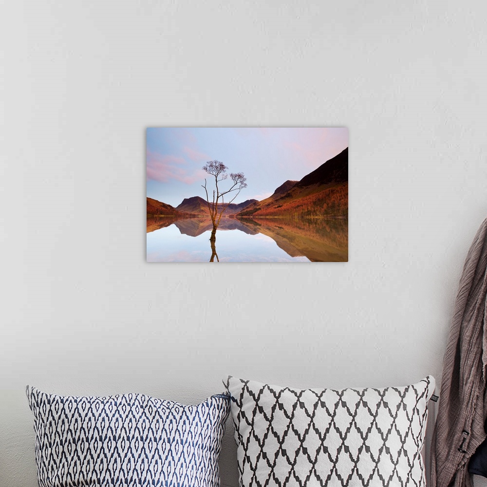 A bohemian room featuring Lone Tree in Lake, Lake Buttermere, Lake District, England