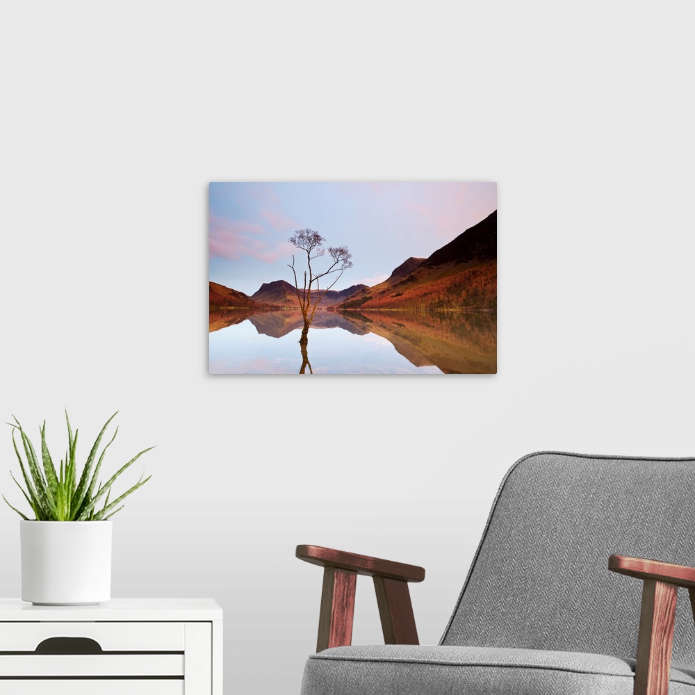 A modern room featuring Lone Tree in Lake, Lake Buttermere, Lake District, England