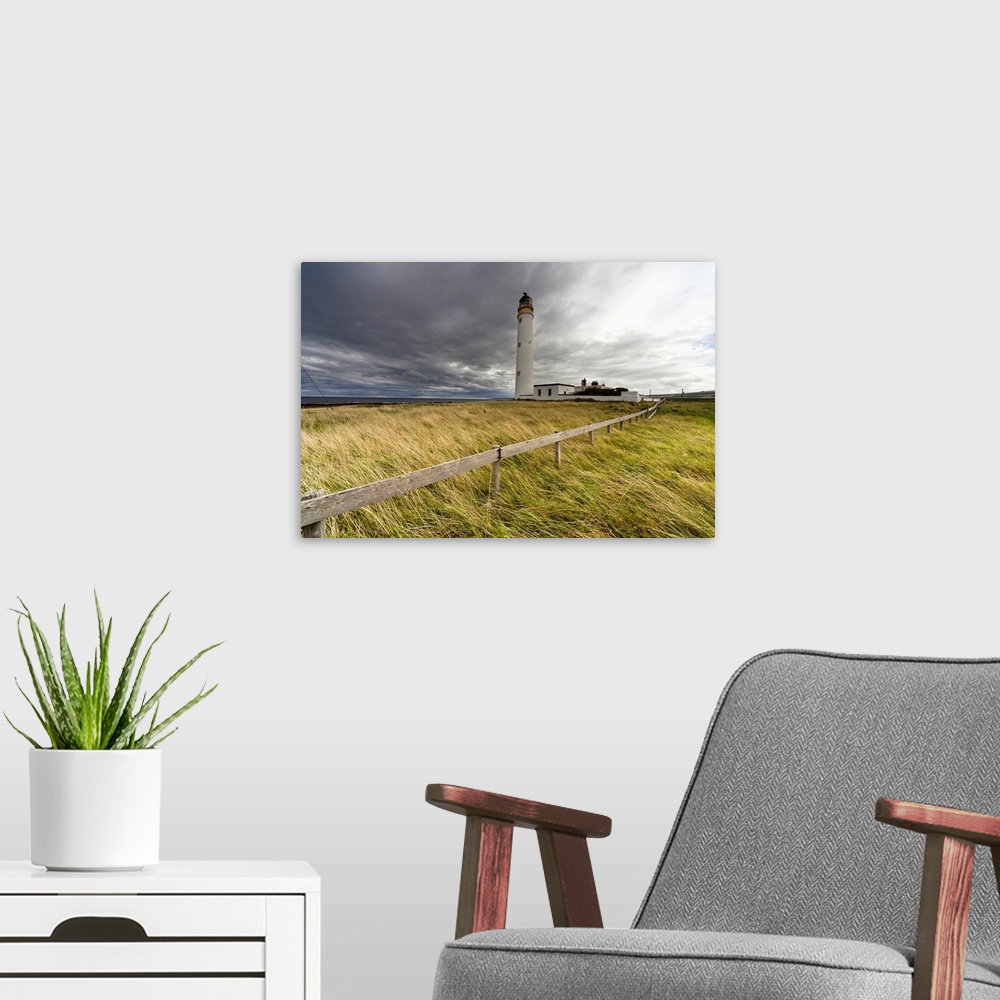 A modern room featuring Long Grass Blowing In The Wind; Scottish Borders, Scotland