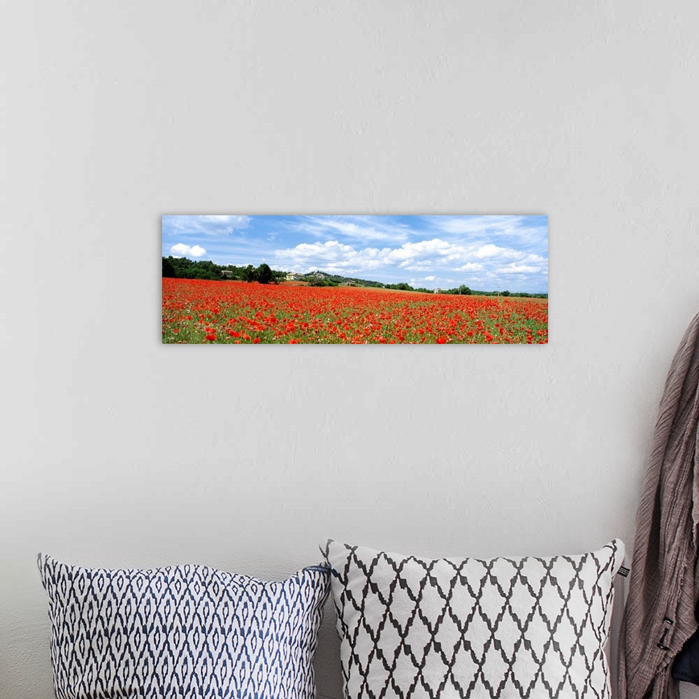 A bohemian room featuring Looking Across Field Of Poppies To Small Village In Provence