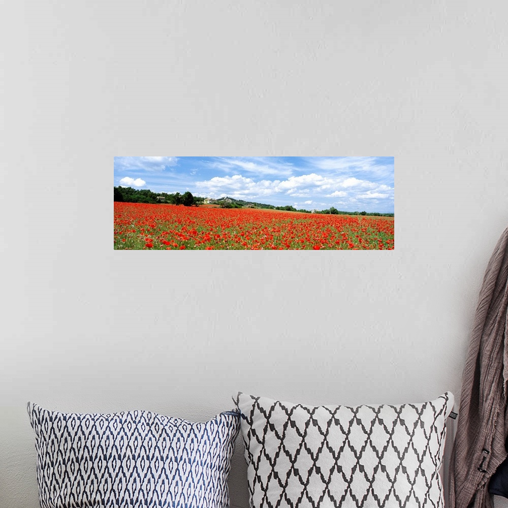 A bohemian room featuring Looking Across Field Of Poppies To Small Village In Provence