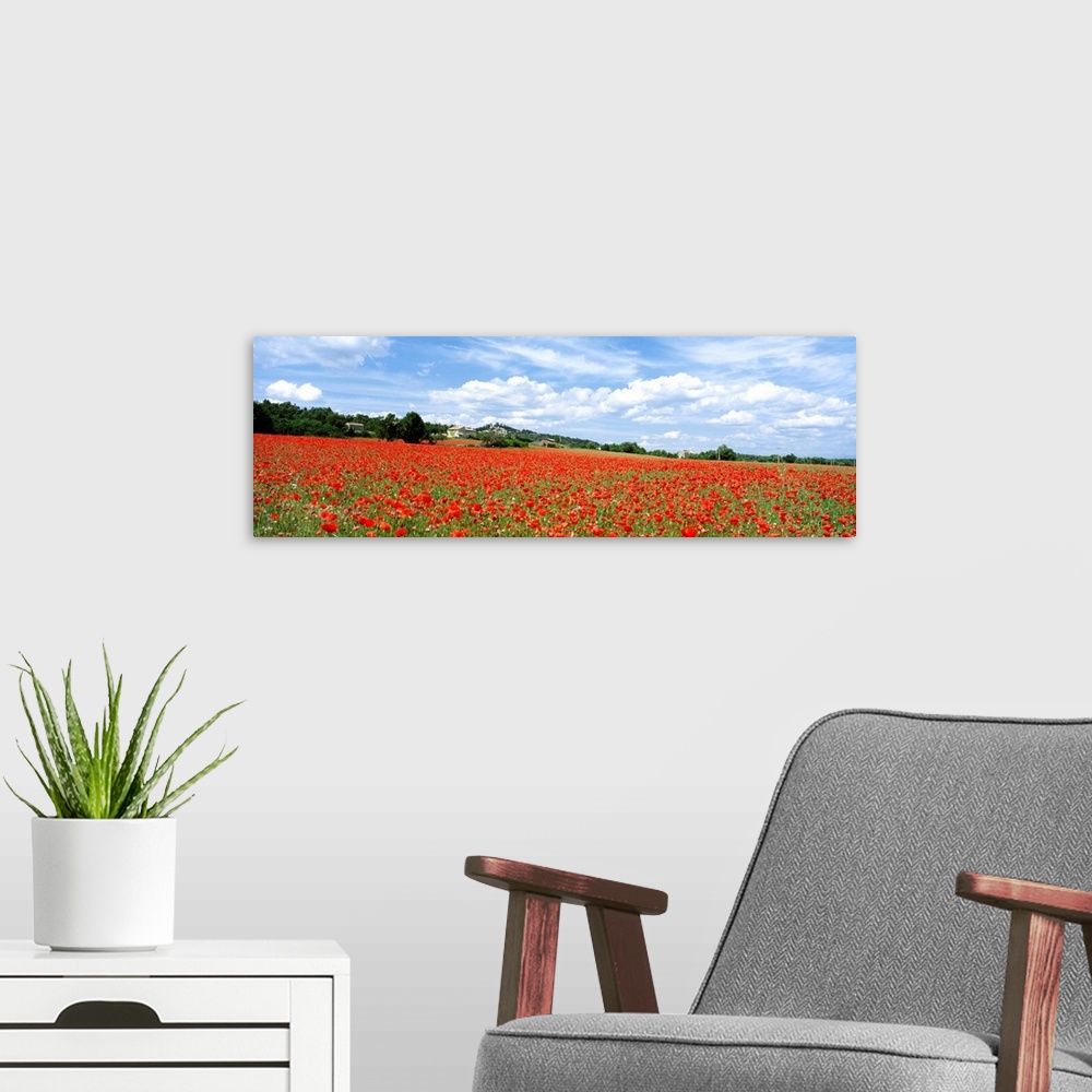 A modern room featuring Looking Across Field Of Poppies To Small Village In Provence