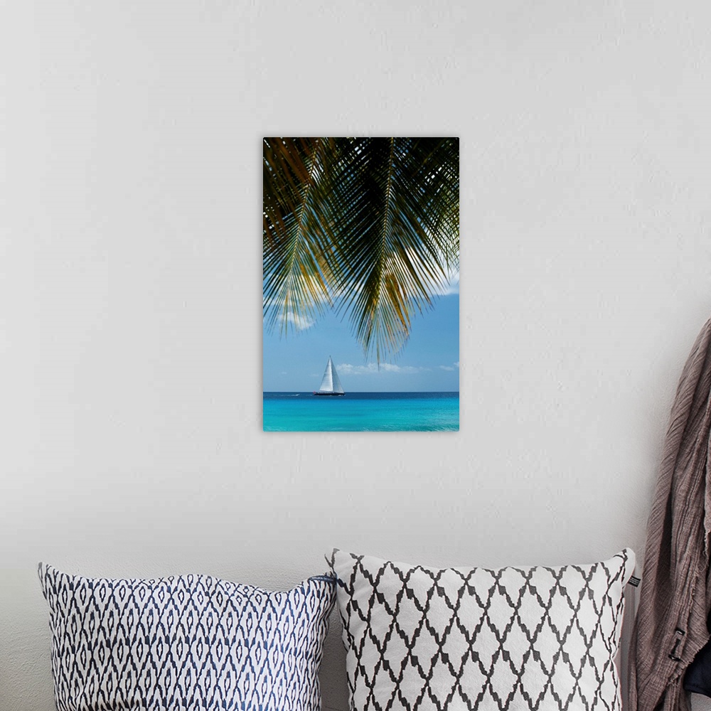 A bohemian room featuring Looking Through Palm Trees To Large Yacht Off The West Coast Of Barbados
