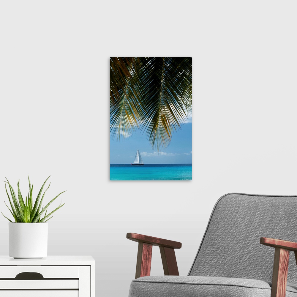 A modern room featuring Looking Through Palm Trees To Large Yacht Off The West Coast Of Barbados