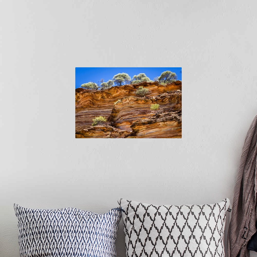 A bohemian room featuring Low Angle View of Cliff and Trees, The Loop, Kalbarri National Park, Western Australia, Australia