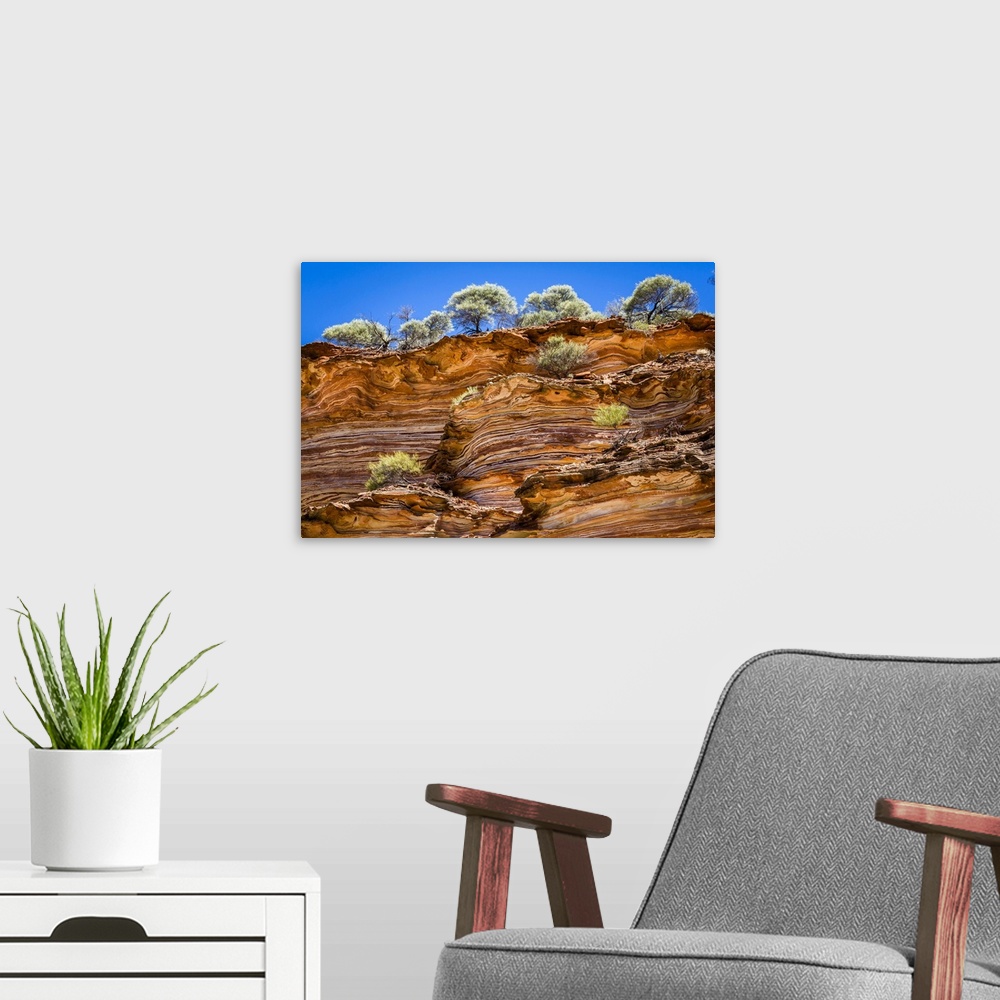 A modern room featuring Low Angle View of Cliff and Trees, The Loop, Kalbarri National Park, Western Australia, Australia
