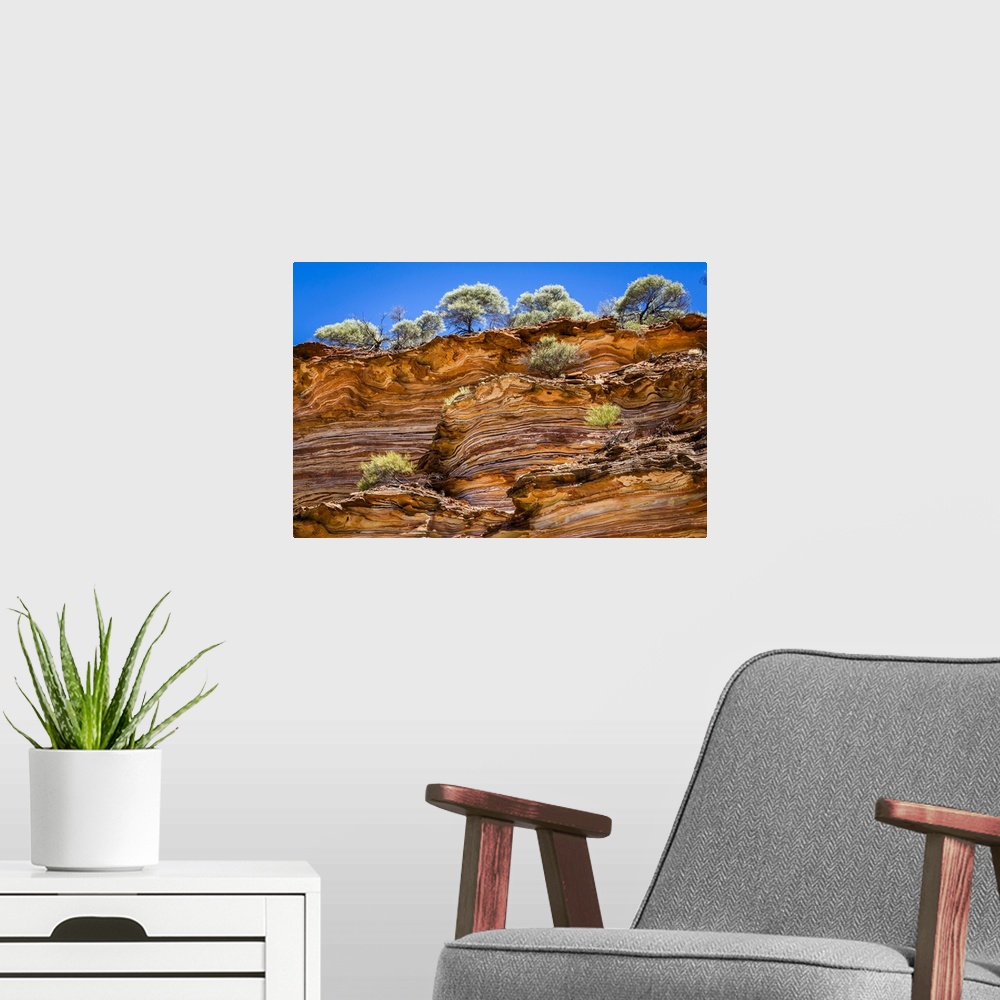 A modern room featuring Low Angle View of Cliff and Trees, The Loop, Kalbarri National Park, Western Australia, Australia