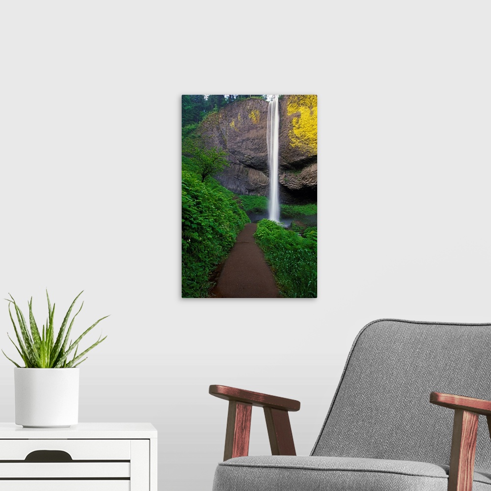A modern room featuring Lush Foliage Along Path To Latourell Falls
