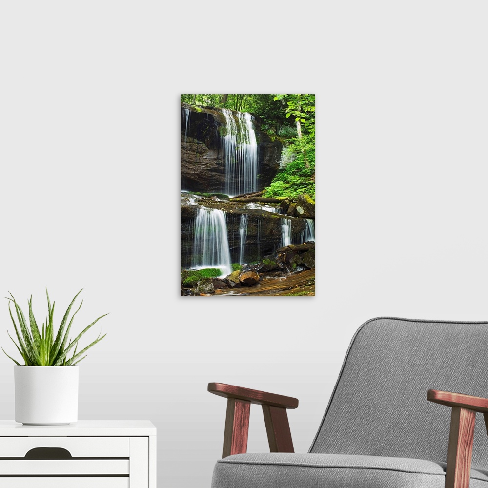A modern room featuring Lush Summer Foliage At Grassy Creek Falls, North Carolina