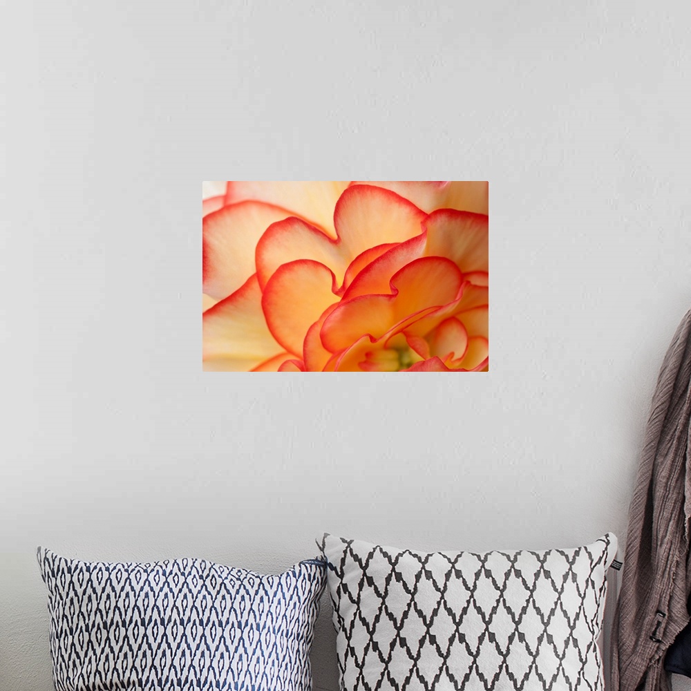 A bohemian room featuring This close up of a flower blossom unfurling in this oversized wall art for the home or office.