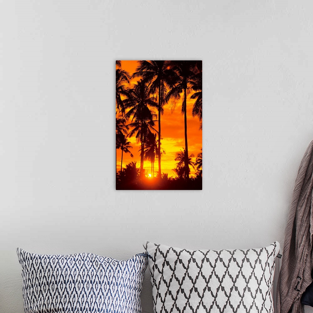 A bohemian room featuring Many Palms Silhouetted In Vibrant Orange Sunset Sky