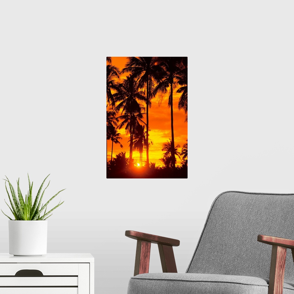 A modern room featuring Many Palms Silhouetted In Vibrant Orange Sunset Sky