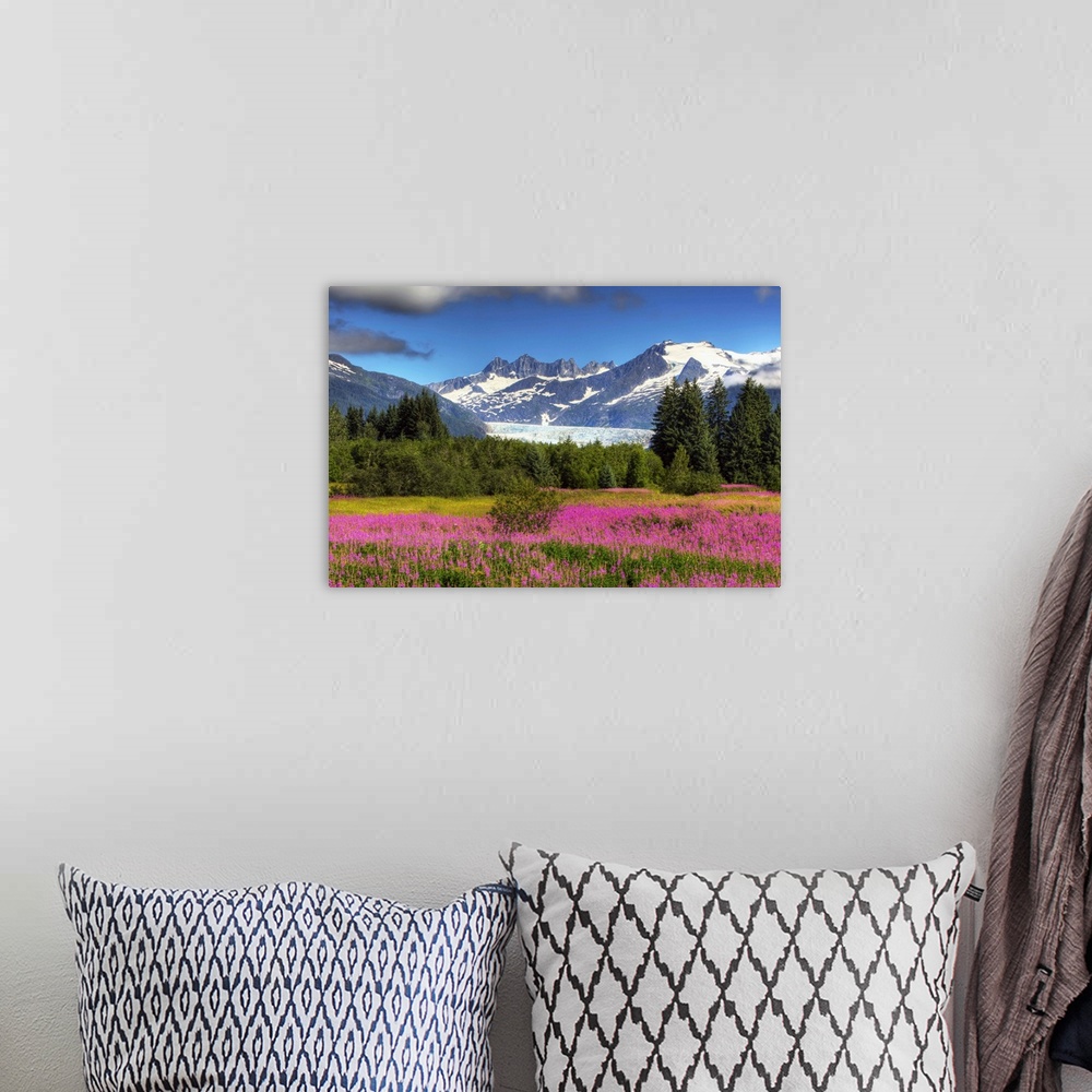 A bohemian room featuring View Of The Mendenhall Glacier With A Field Of Fireweed In The Foreground, Southeast, Alaska Summ...