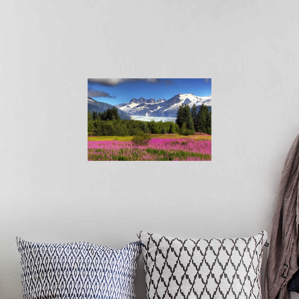 A bohemian room featuring View Of The Mendenhall Glacier With A Field Of Fireweed In The Foreground, Southeast, Alaska Summ...