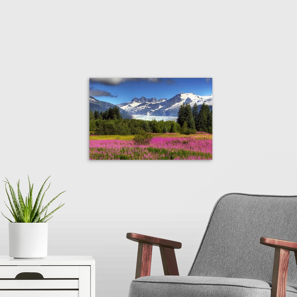 A modern room featuring View Of The Mendenhall Glacier With A Field Of Fireweed In The Foreground, Southeast, Alaska Summ...